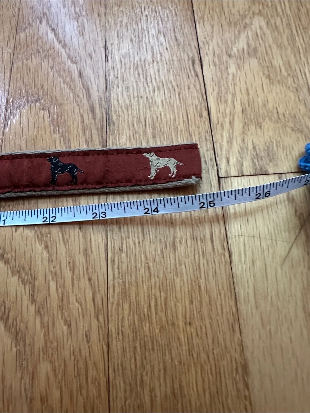 Kids Red Fabric D-Ring Belt with Dog Motif
